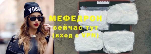 индика Заволжье