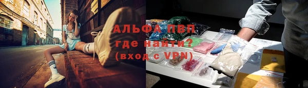 индика Заволжье