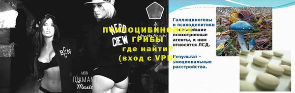 индика Заволжье