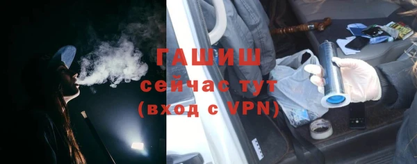 индика Заволжье