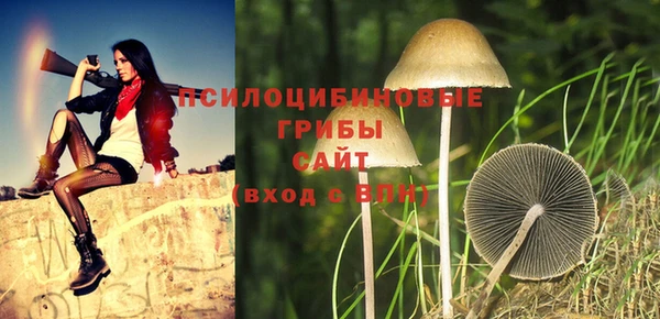 прущие крисы Заводоуковск