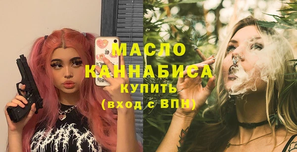 индика Заволжье
