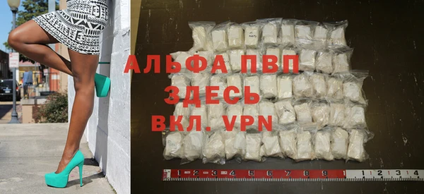 индика Заволжье
