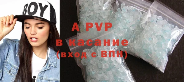 индика Заволжье