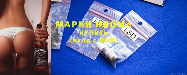 индика Заволжье