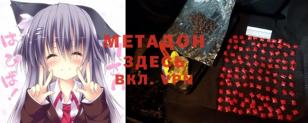 индика Заволжье