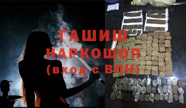 индика Заволжье