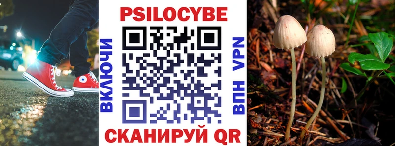 Псилоцибиновые грибы ЛСД Купить Калач